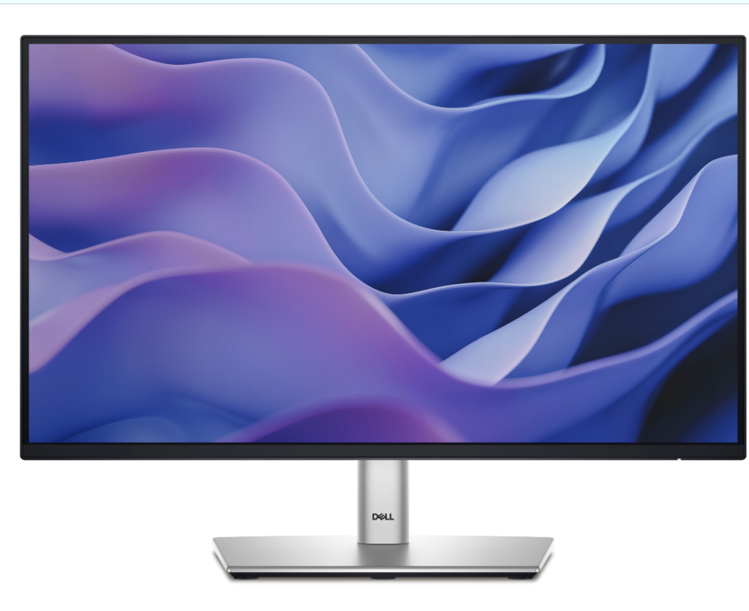 Dell Pro 22 Plus Monitor - P2225H