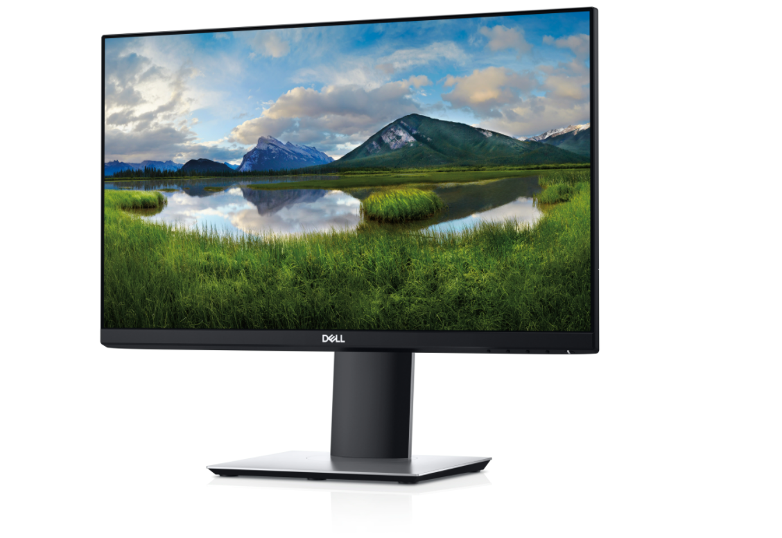 Dell 22 Monitor - P2219H - Benson Computers