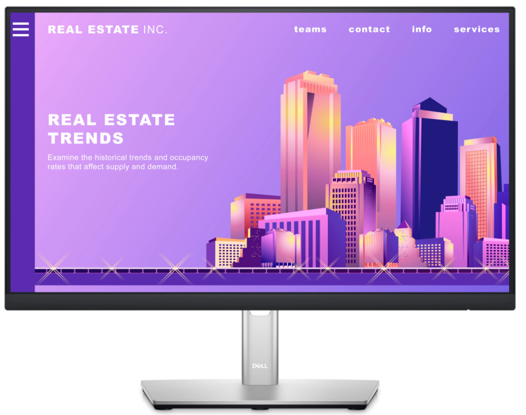 Dell 22 Monitor P2222H - Benson Computers