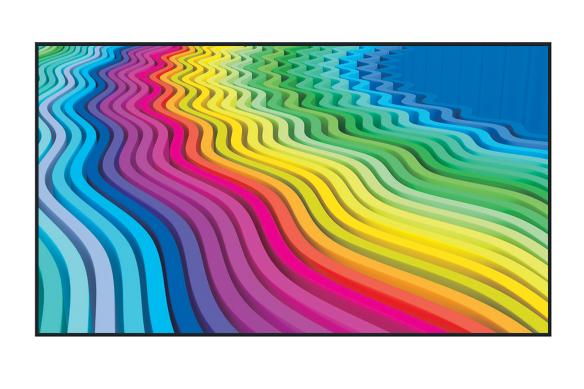 Panasonic TH-75EQ1W 75" Class Entry-Level 4K Digital Display- Benson Computers