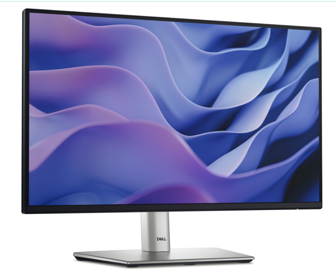 Dell Pro 22 Plus Monitor - P2225H