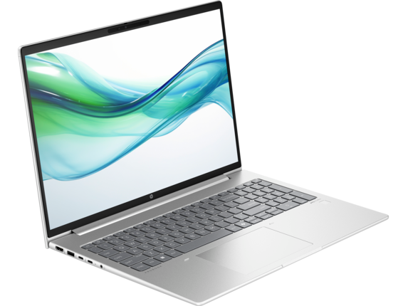 HP ProBook 460 G11 Notebook-PC - Problembehebung