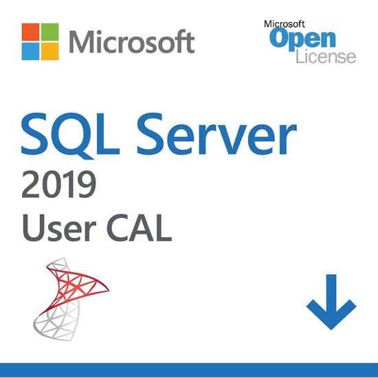 Microsoft SQL Server 2019 User CAL SQLCAL 2019 SNGL OLP NL DvcCAL
