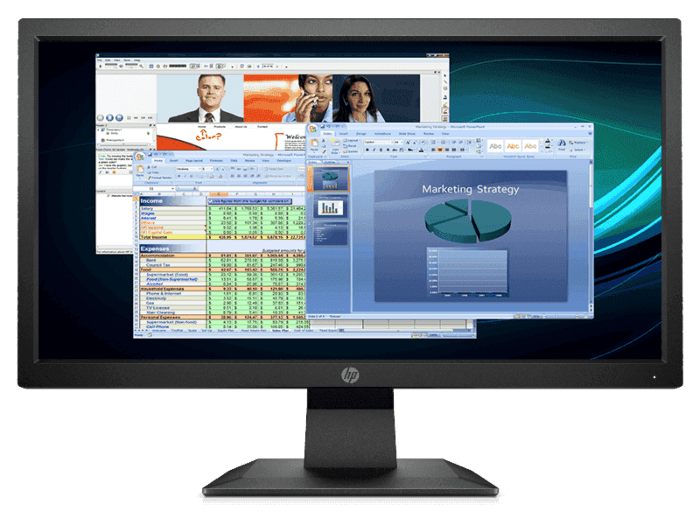 HP P204v 19.5" Monitor