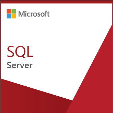 Microsoft SQL Server Enterprise SQLSvrEntCore 2019 SNGL OLP 2Lic NL  - Benson Computers