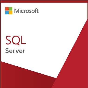 Microsoft SQL Server Enterprise SQLSvrEntCore 2019 SNGL OLP 2Lic NL