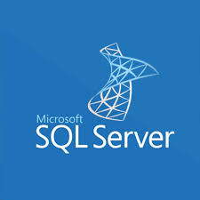 Microsoft SQL Server 2022 Standard Edition - Benson Computers