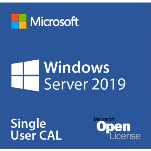 Microsoft Windows Server WinSvrCAL 2019 SNGL OLP NL UsrCAL